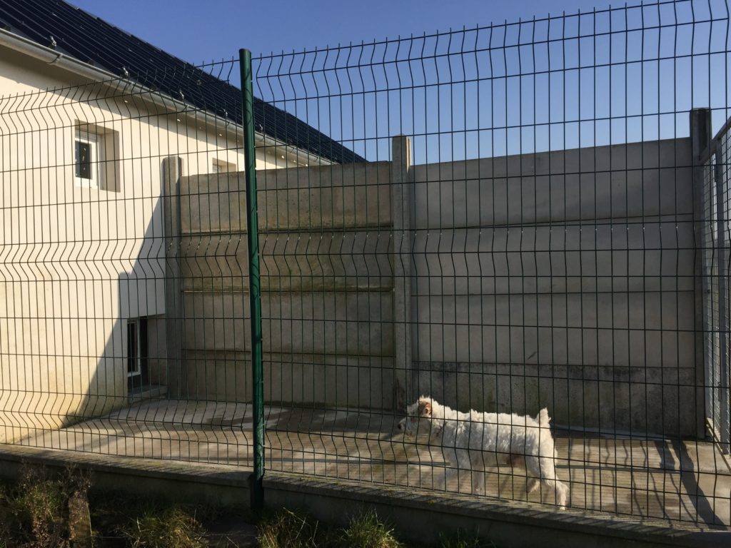 Pension canine - Extérieur d'un box