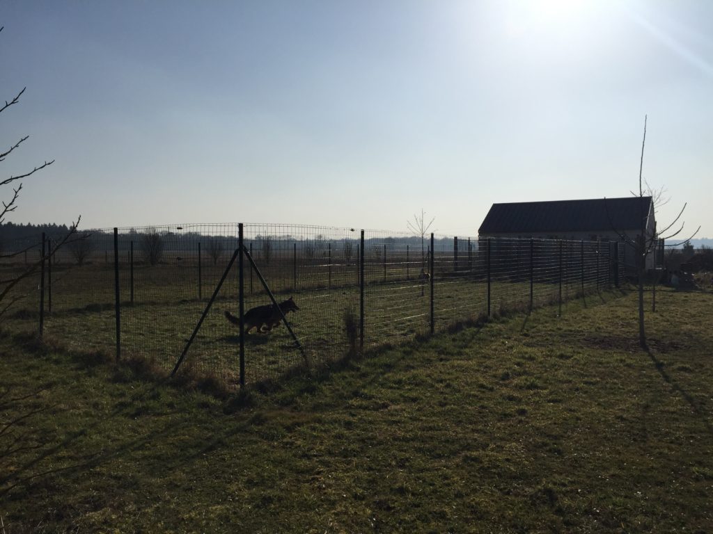 Pension canine - Parc de détente et bâtiment